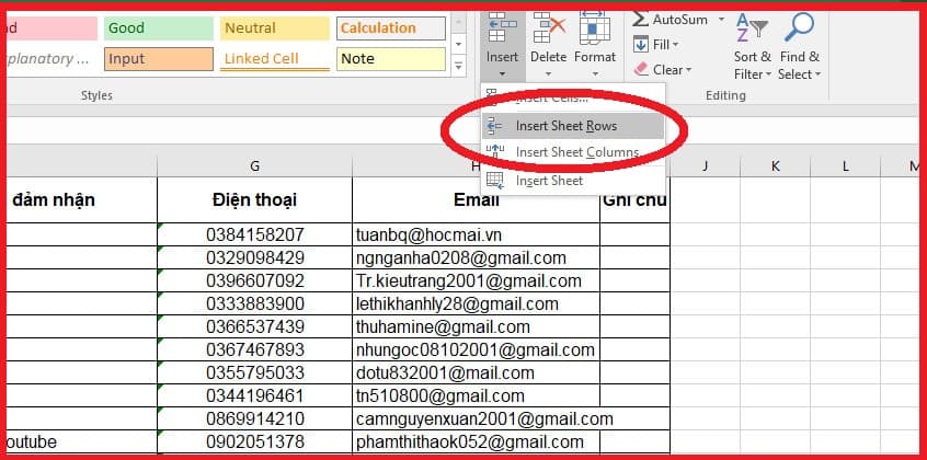 Cách thêm dòng trong Excel với thanh Ribbon