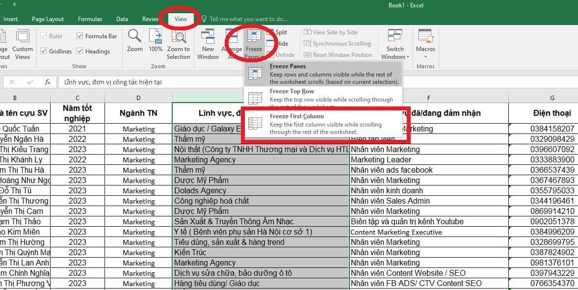 Mẹo cố định cột trong Excel