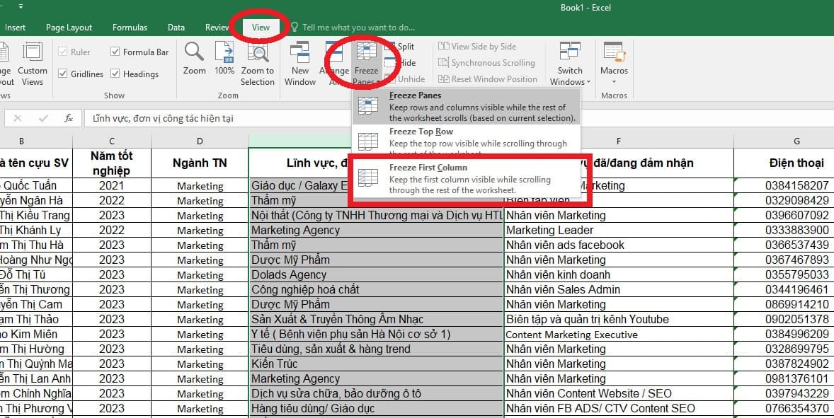 cố định cột trong Excel
