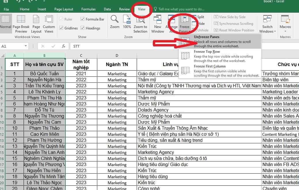 Cách cố định nhiều cột trong Excel 