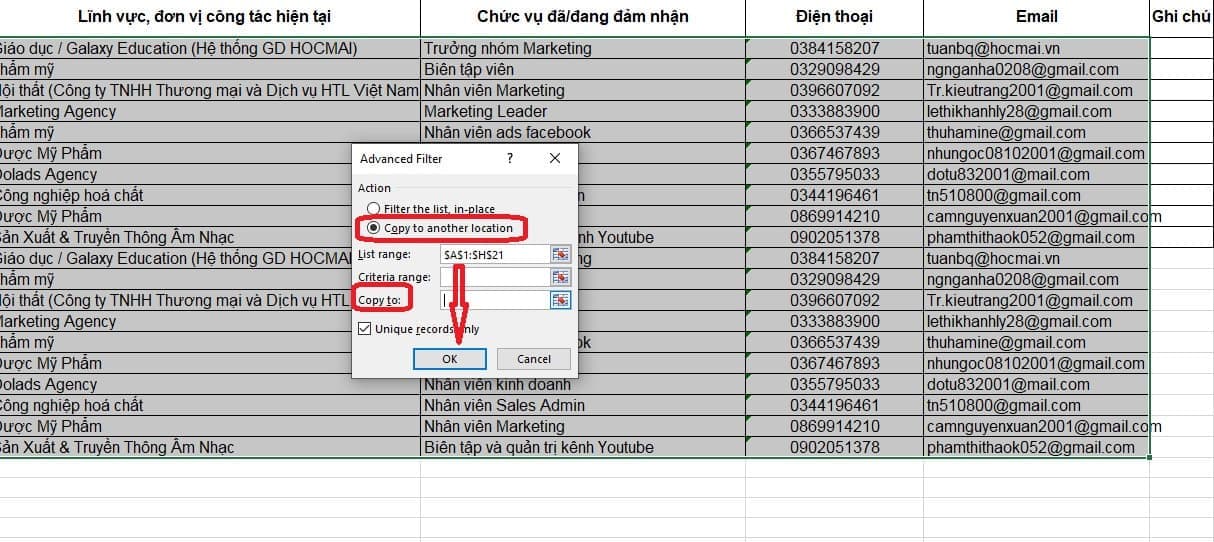 Cách lọc dữ liệu trong Excel bằng Advanced Filter